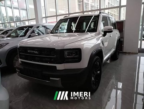 2026 Haval Manlong New Energy Hi4 200 Ultra Ternary Lithium - ავტომობილი ჩინეთიდან
