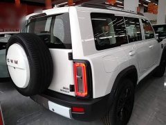 Haval Manlong New Energy Hi4 200 Ultra Ternary Lithium - photo 5