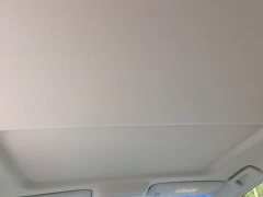Buick GL8 Land Official Business Class 652T Comfort Edition - ფოტო 17