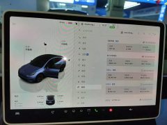 Tesla Model Y Rear-Wheel Drive - ფოტო 11