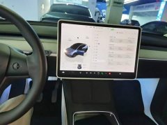 Tesla Model Y Rear-Wheel Drive - ფოტო 12