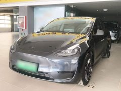 Tesla Model Y Rear-Wheel Drive - ფოტო 1