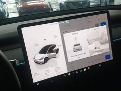 Tesla Model Y Rear-Wheel Drive - ფოტო 12