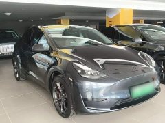 Tesla Model Y Rear-Wheel Drive - ფოტო 3