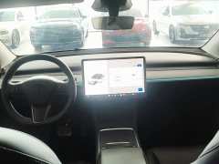 Tesla Model Y Rear-Wheel Drive - ფოტო 9