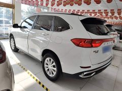 Haval M6 PLUS 1.5T Manual Luxury Smart Connected Edition - photo 4