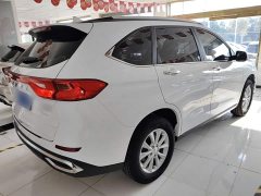 Haval M6 PLUS 1.5T Manual Luxury Smart Connected Edition - photo 6