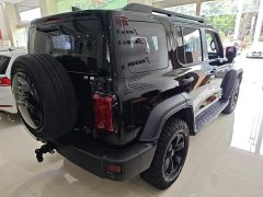 Tank 300 Off-Road Edition 2.0T Conqueror - photo 6