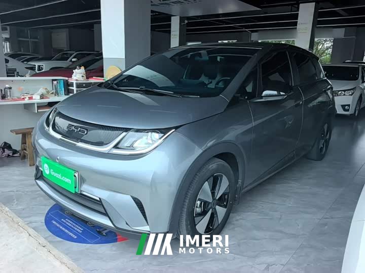 BYD Dolphin 420km Freedom Edition - ავტომობილი ჩინეთიდან