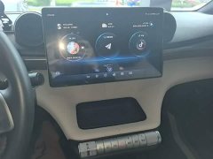 BYD Dolphin 420km Freedom Edition - ფოტო 12