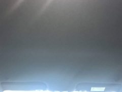BYD Dolphin 420km Freedom Edition - ფოტო 17