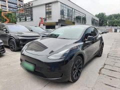 Tesla Model Y Rear-Wheel Drive - ფოტო 1
