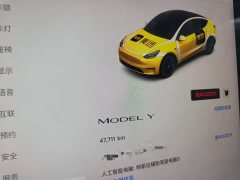 Tesla Model Y Rear-Wheel Drive - ფოტო 11