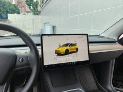 Tesla Model Y Rear-Wheel Drive - ფოტო 12