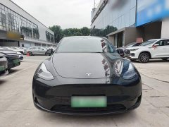 Tesla Model Y Rear-Wheel Drive - ფოტო 2