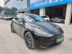 Tesla Model Y Rear-Wheel Drive - ფოტო 3