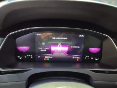 Volkswagen Magotan 2 Million Units Commemorative Edition 330TSI DSG Leading Version - photo 11
