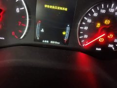 BYD Song MAX Upgraded 1.5T Automatic Luxury 7-Seater - ფოტო 11