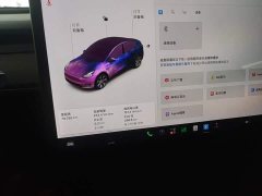 Tesla Model Y Standard Range RWD - photo 11