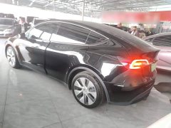 Tesla Model Y Standard Range RWD - photo 4