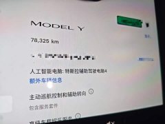 Tesla Model Y Rear-Wheel Drive - ფოტო 11