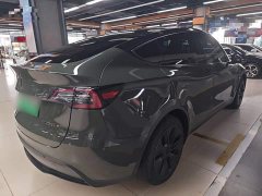 Tesla Model Y Rear-Wheel Drive - ფოტო 6