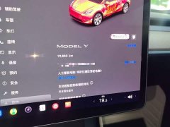 Tesla Model Y Rear-Wheel Drive - ფოტო 11