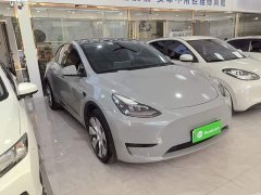 Tesla Model Y Rear-Wheel Drive - ფოტო 3