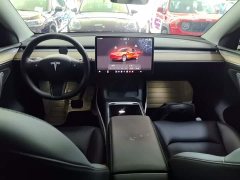 Tesla Model Y Rear-Wheel Drive - ფოტო 9