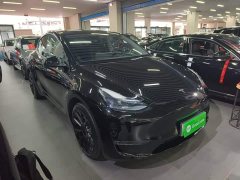 Tesla Model Y Standard Range RWD - фото 3