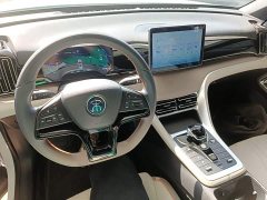 BYD Song Pro New Energy Champion Edition DM-i 71KM Leading Type - фото 9