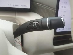 Great Wall WEY Shanshan New Energy Four-Wheel Drive Shanshan 9 - ფოტო 13