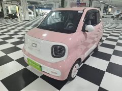 FAW Besturn Xiaoma 222km Dynamic Edition - ფოტო 1