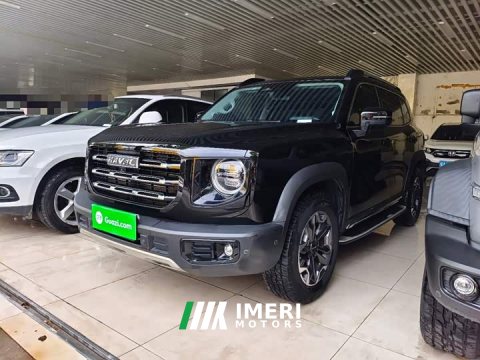 2023 Great Wall Dachshund 2.0T DCT Four-Wheel Drive Howling Celestial Dog Edition - автомобиль из Китая