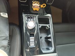 Great Wall Dachshund 2.0T DCT Four-Wheel Drive Howling Celestial Dog Edition - фото 13