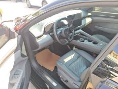 Zeekr 001 YOU Edition 100kWh AWD - фото 15