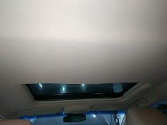 Buick GL8 Facelift Land Executive Cabin Luxury - ფოტო 17