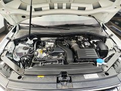 Volkswagen Tiguan L Outstanding Edition 300TSI Automatic Two-Wheel Drive Dragon Ascendant Version - фото 19