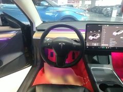 Tesla Model 3 Rear-Wheel Drive - photo 10