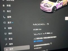 Tesla Model 3 Rear-Wheel Drive - photo 11