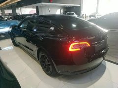 Tesla Model 3 Rear-Wheel Drive - photo 4