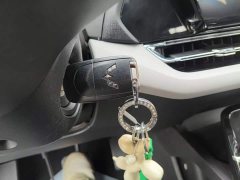 Wuling Kaijet 1.5T CVT Elite - ფოტო 8
