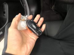 BYD Qin L DM-i Smart Drive Edition 80KM Leading - фото 8