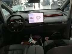 Zeekr MIX Smart Driving Edition - ფოტო 9
