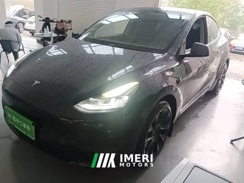 2021 Tesla Model Y Standard Range RWD - ავტომობილი ჩინეთიდან