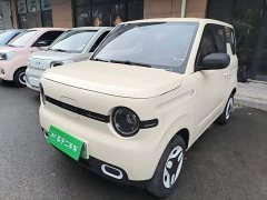 Geely Panda Mini 210km Vitality Edition - ფოტო 1