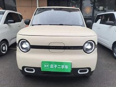 Geely Panda Mini 210km Vitality Edition - ფოტო 2