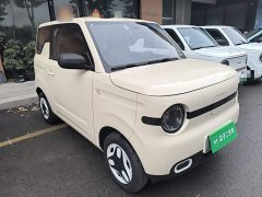 Geely Panda Mini 210km Vitality Edition - ფოტო 3
