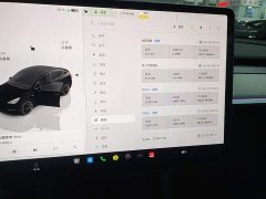 Tesla Model Y Rear-Wheel Drive - ფოტო 11