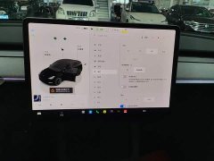 Tesla Model Y Rear-Wheel Drive - ფოტო 12